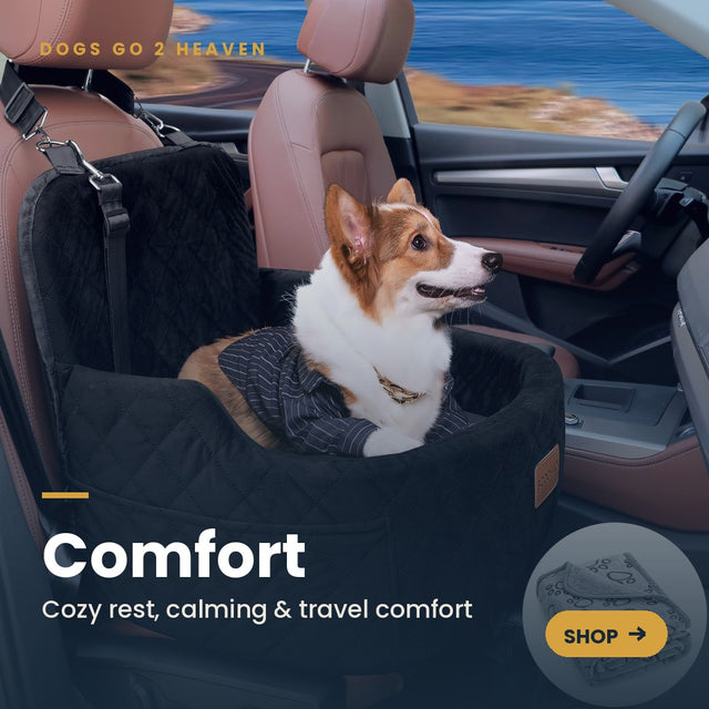 Comfort