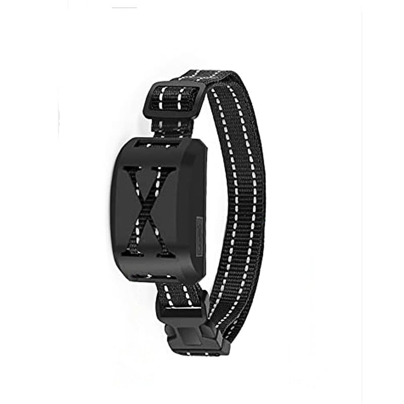 Wireless Dog Fence & Remote Training Collar — Waterproof