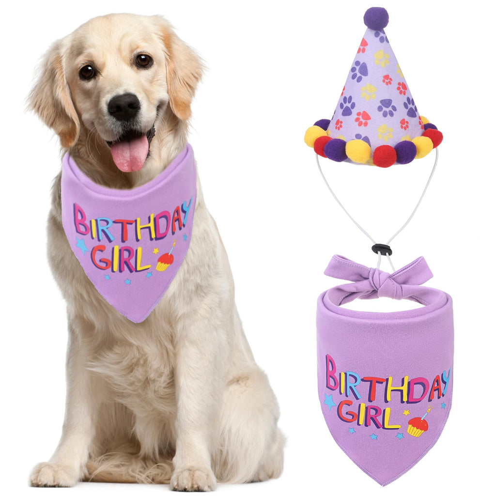 Dog Birthday Bandana & Party Hat Set
