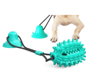 DentiGrip Dental Cleaning Toy — Interactive Chew