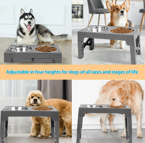 Elevated Slow Feeder Bowl — Height-Adjustable Anti-Gulp Stand
