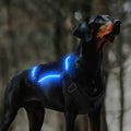 RGB LED Light-Up Dog Harness — Rechargeable, Tactical