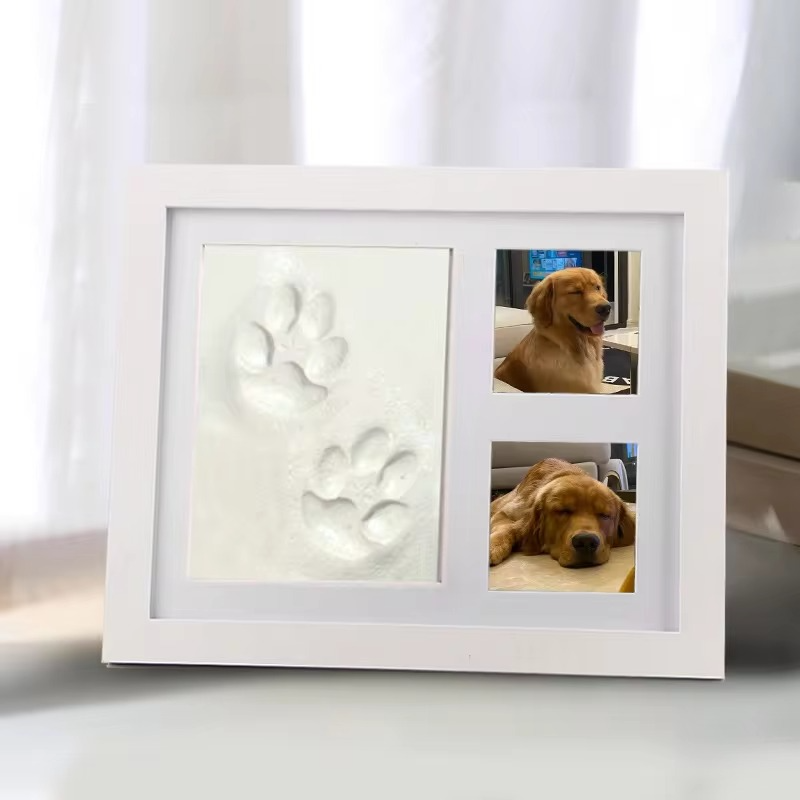Pet Paw Print Frame DIY Kit