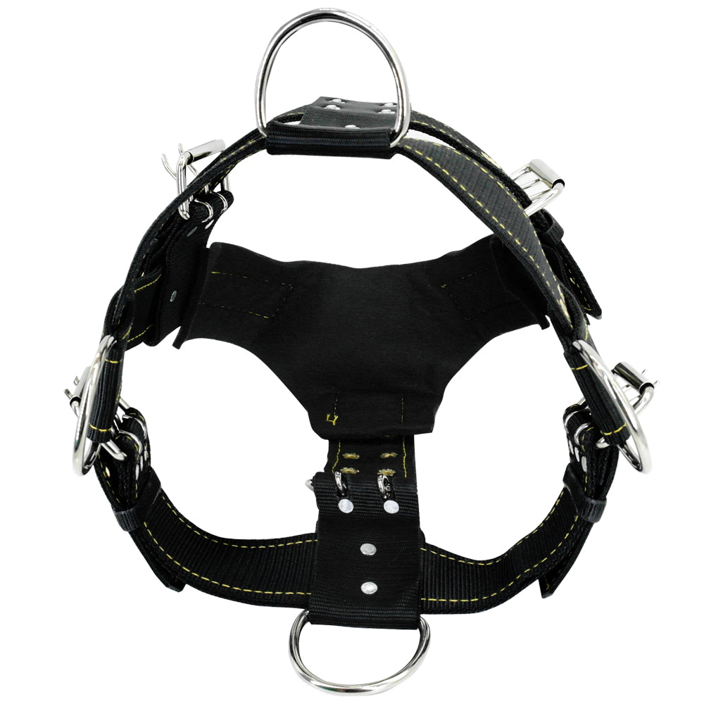 Padded Dog Training Suit