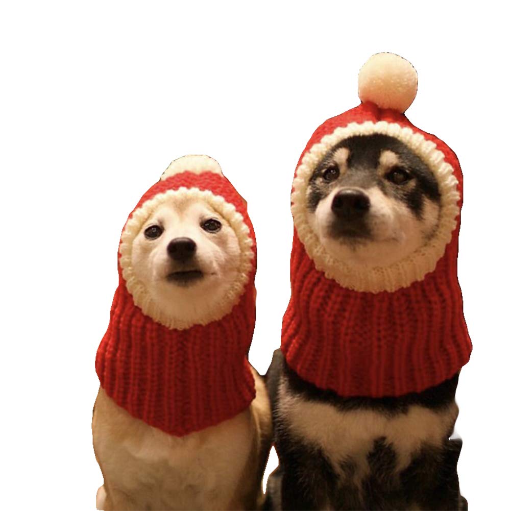 Knit Pom-Pom Dog Beanie — Warm Winter Hat