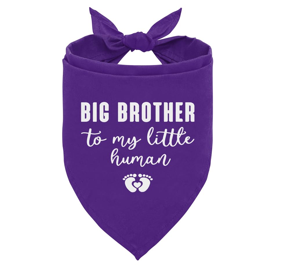 Big Brother Dog Bandana — Announcement Scarf