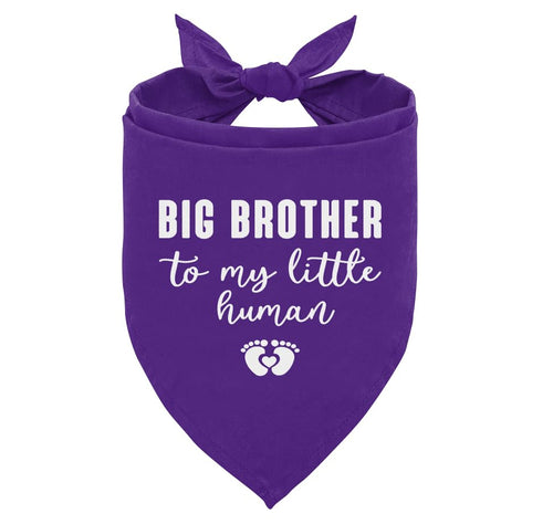 Big Brother Dog Bandana — Announcement Scarf