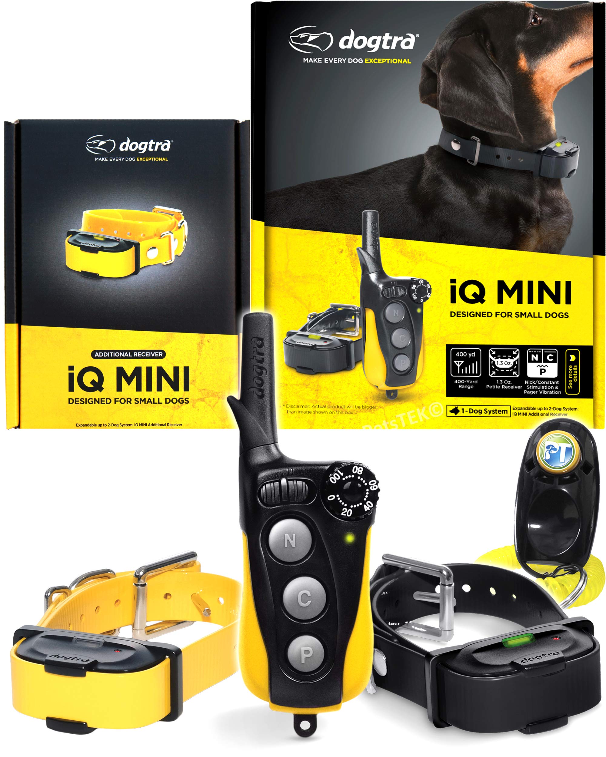 Dogtra IQ Mini Remote Training System — 2-Dog, 400 yd