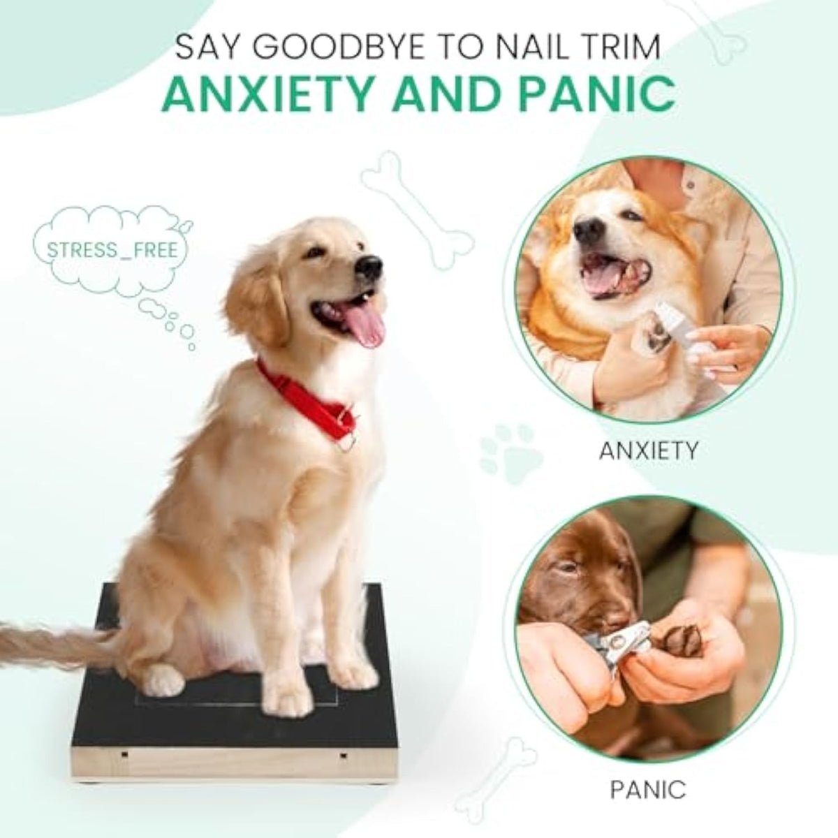Nail Grinder Scratch Board — Self-Serve Nail File with Treat Box