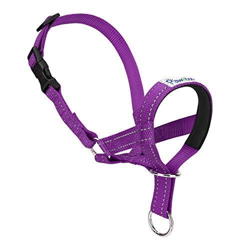 No-Pull Dog Head Halter — Anti-Bite Collar