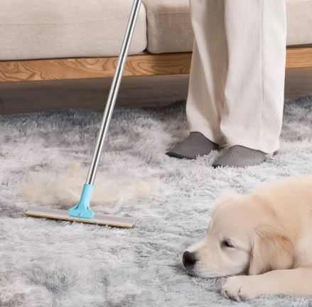 Long-Handle Carpet Rake — Extendable Pet Hair Remover for Rugs