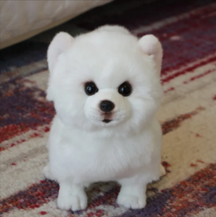 Soft Plush Squeaky Dog Toy — Cuddle & Comfort Toy