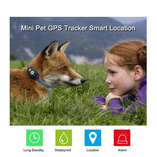 GPS Tracking Dog Collar — Real-Time Locator for Escape Artists