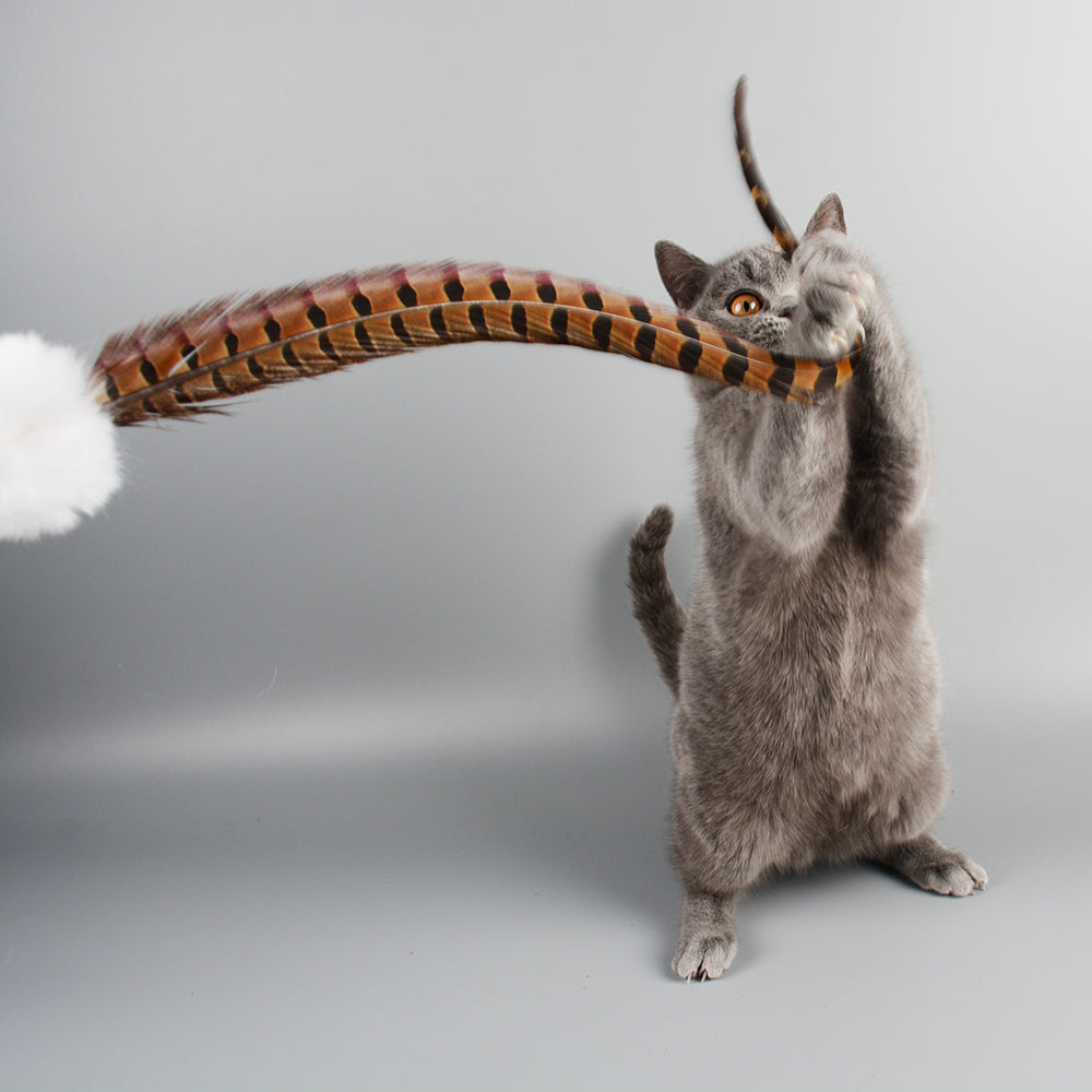 Rabbit & Feather Cat Teaser Wand — Interactive Wand Toy for Indoor Cats