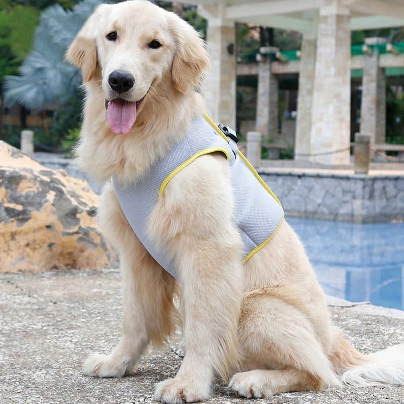 Dog Cooling Vest — Evaporative Heat Relief for Summer Walks