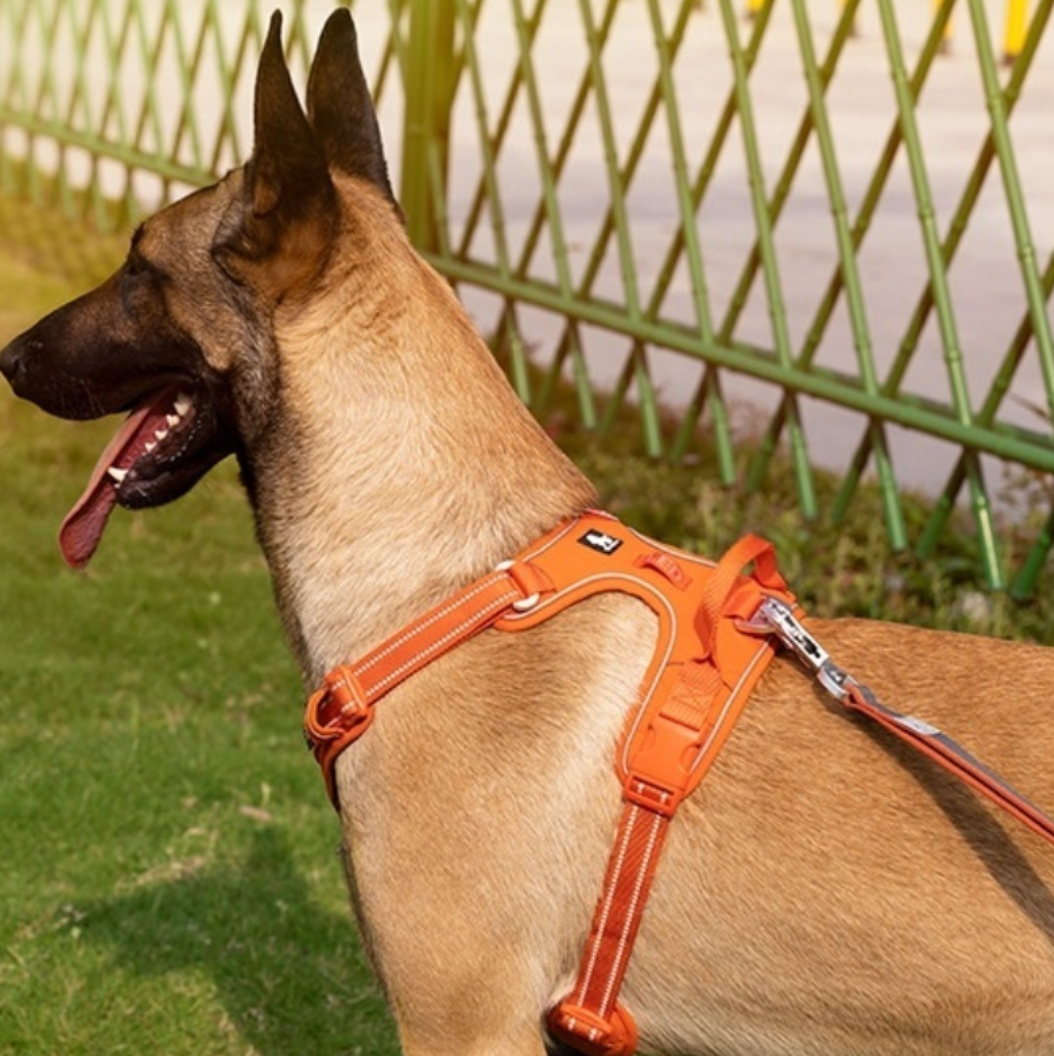 Reflective No-Pull Dog Harness — Adjustable Padded Vest