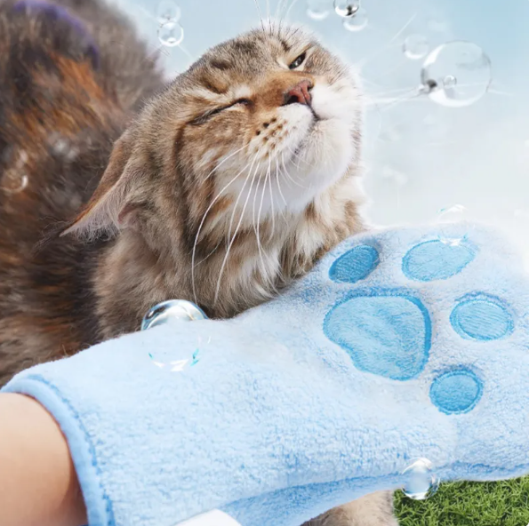 Pet Cleaning Wipes — Antibacterial Paw & Coat Wipes