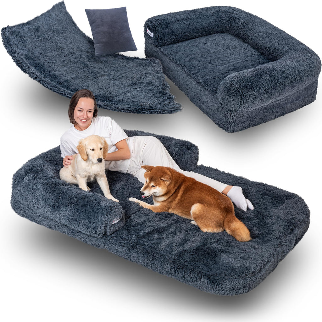 Human-Sized Dog Bed — Orthopedic Memory Foam, Washable