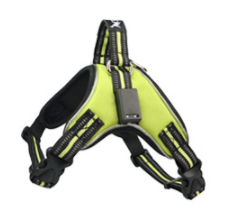 LED Dog Harness — Rechargeable Light-Up Vest for Night Walks