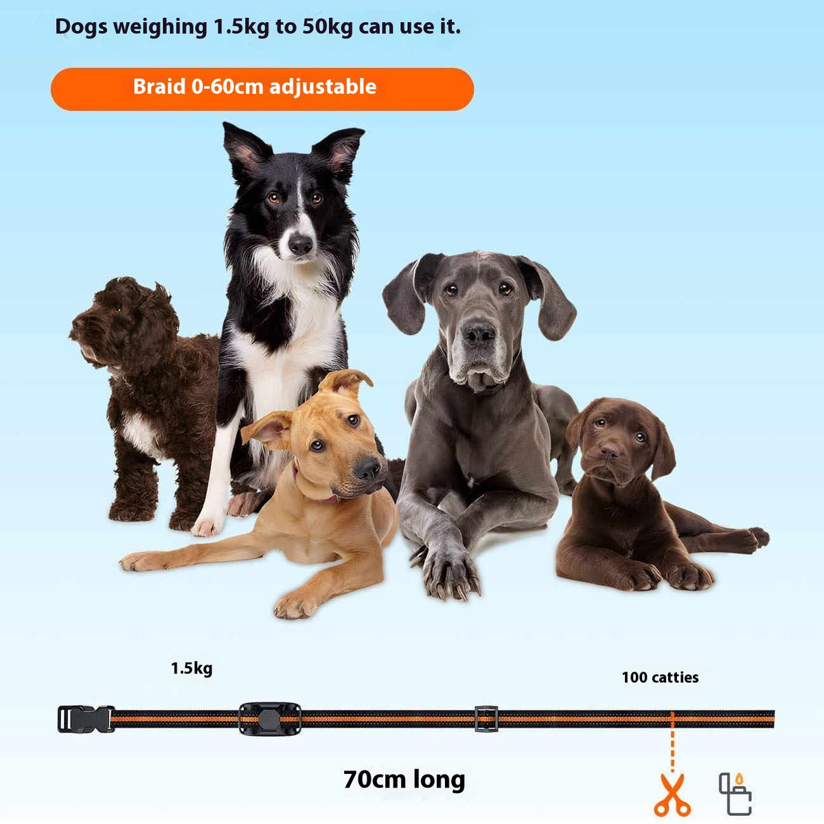 Remote Dog Training Collar — Waterproof Vibration & Tone Trainer