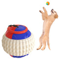 Dog Training Toy Balls — Fetch & Chew