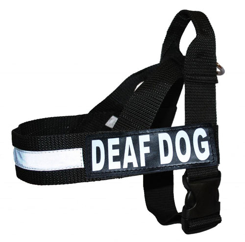 Deaf Dog No-Pull Service Harness — Reflective Patches