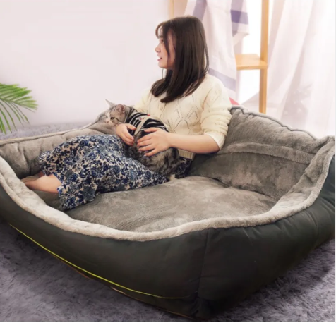 Sofa Dog Bed — Raised-Arm Couch Bed with Removable Cushion