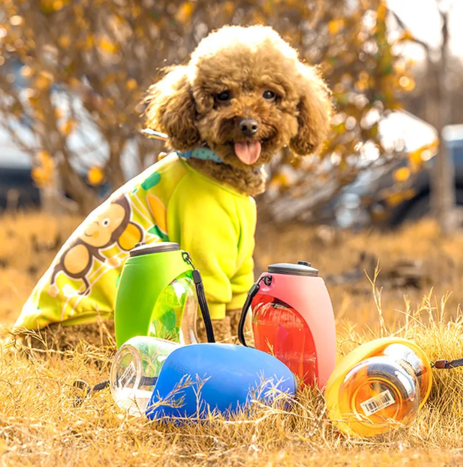 2-in-1 Portable Dog Water Bottle — Travel Bottle & Bowl for Walks