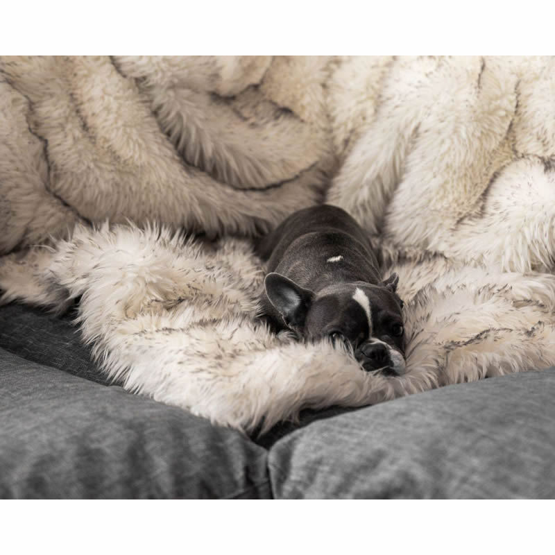 Sherpa Fleece Dog Blanket — Waterproof-Backed Furniture Cover