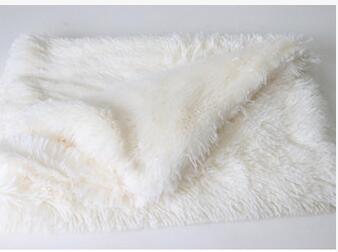 PV Plush Pet Blanket — Warm Sherpa Mat for Dogs & Cats