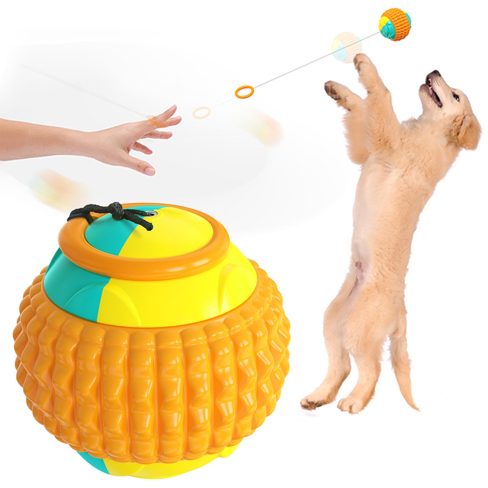 Dog Training Toy Balls — Fetch & Chew