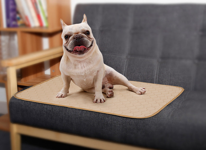 Washable Dog Training Pee Pad