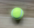 Dog Training Ball Launcher