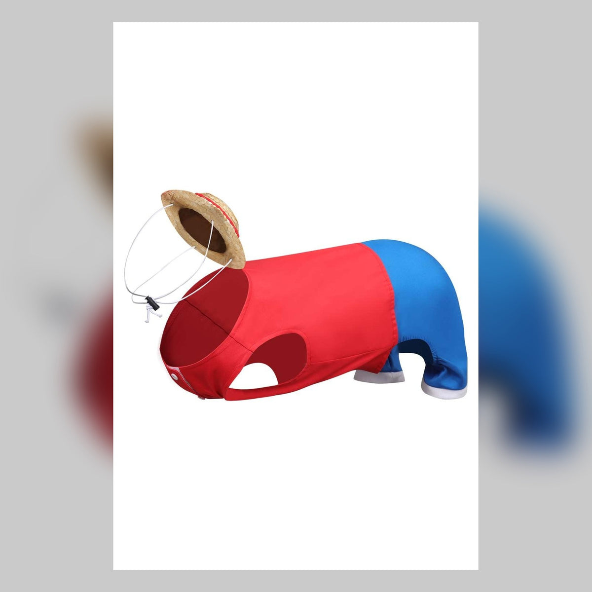 Funny dog Halloween costume