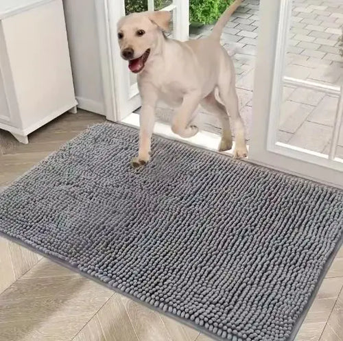Absorbent Microfiber Doormat