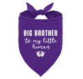 Big Brother Dog Bandana — Announcement Scarf