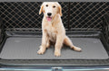 Washable Dog Training Pee Pad
