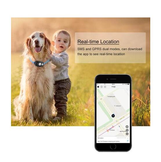 GPS Tracking Dog Collar — Real-Time Locator for Escape Artists