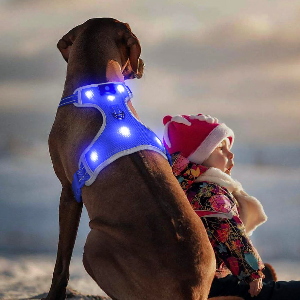 Light-Up LED Dog Harness — Rechargeable, No-Pull