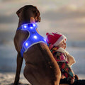 Light-Up LED Dog Harness — Rechargeable, No-Pull