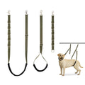 No-Sit Grooming Belly Strap — Adjustable Haunch Holder