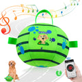 Interactive Rolling Dog Ball — Chew-Resistant with Rope
