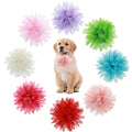 Dog Collar Flowers & Bows (8-Pack)