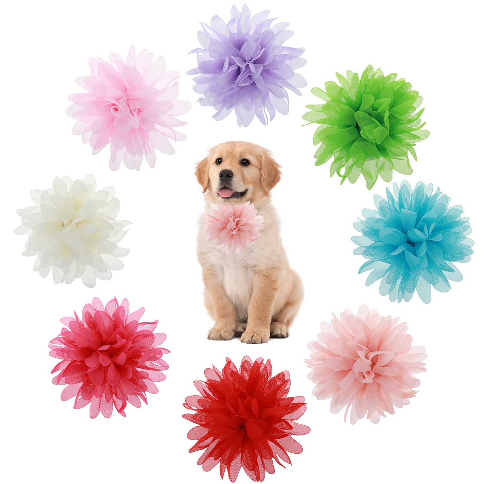 Dog Collar Flowers & Bows (8-Pack)