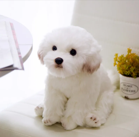 Soft Plush Squeaky Dog Toy — Cuddle & Comfort Toy