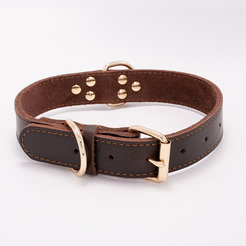 Adjustable Dog Collar — Soft Padded Everyday Collar for Small & Large Dogs