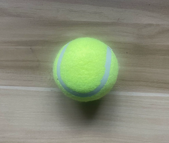 Dog Training Ball Launcher