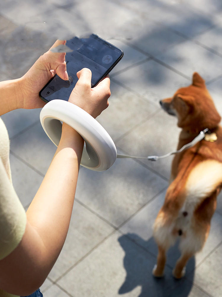 Heavy-Duty Retractable Dog Leash — Locking Tape Lead
