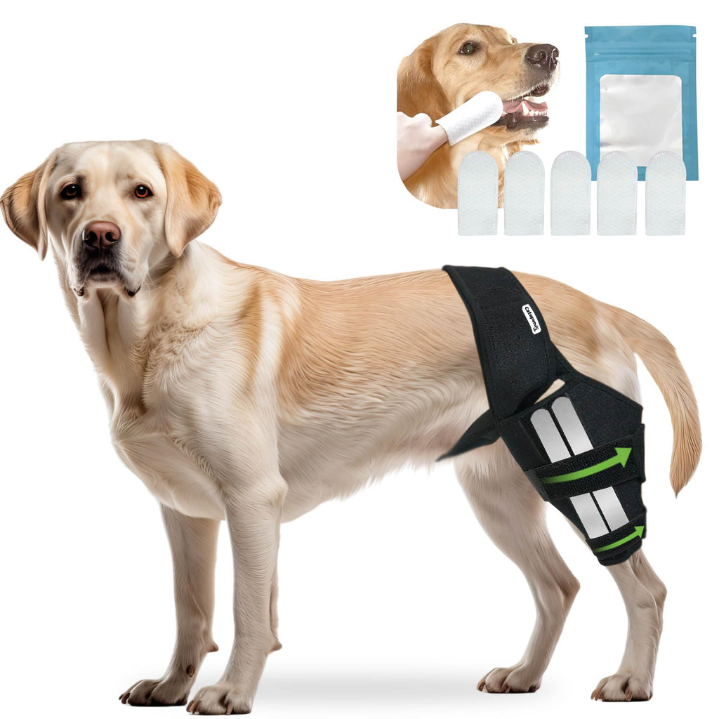 Dog ACL Knee Brace — Rear Leg Support for Luxating Patella