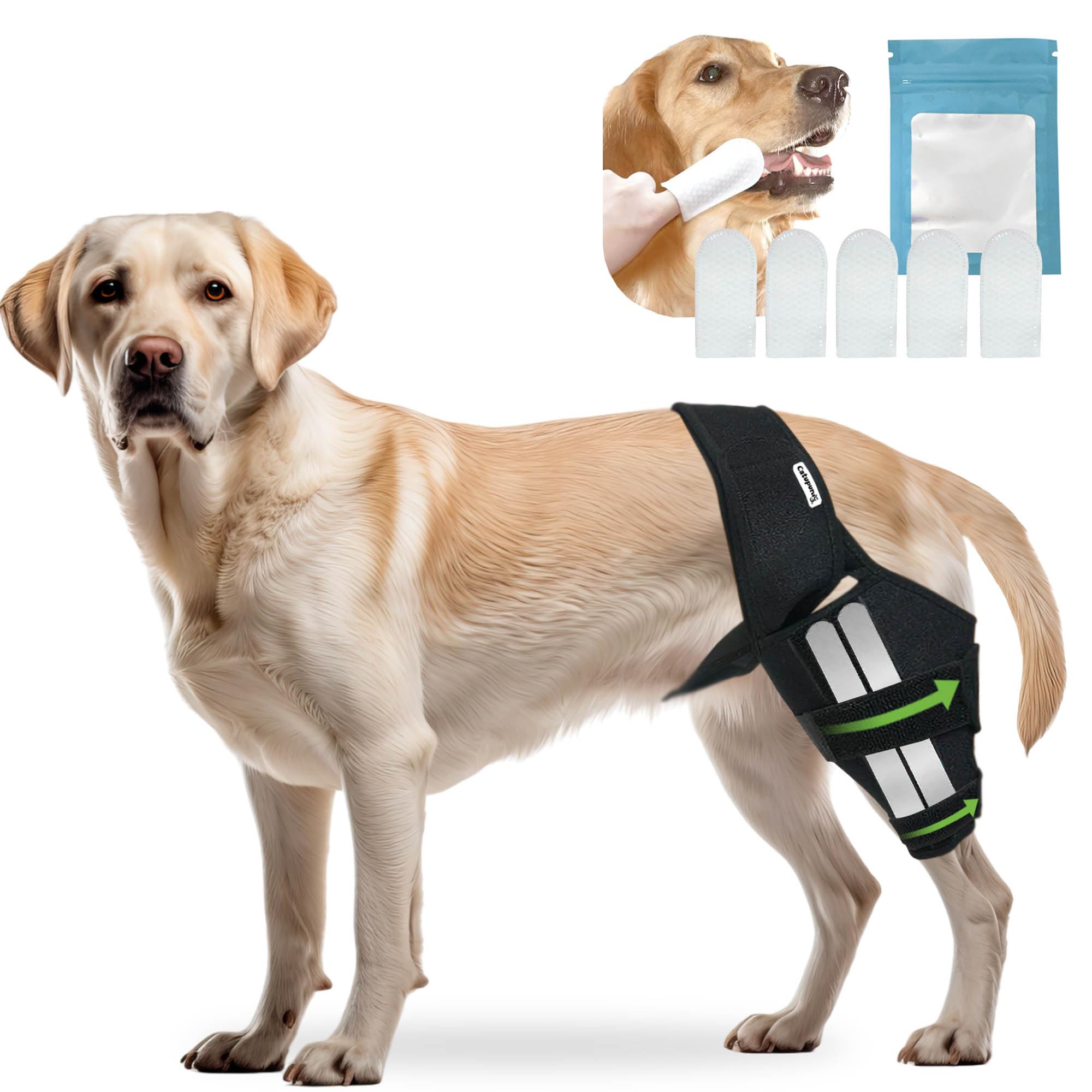 Dog ACL Knee Brace — Rear Leg Support for Luxating Patella